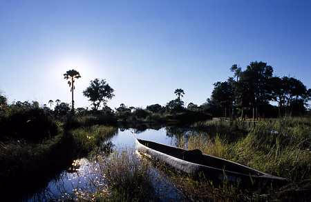 Nxabega Okavango Safari Camp